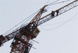 ���C�ĸ߿��D�Q���g