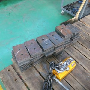 2018111102 ���������^