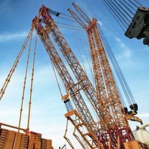 ͨ�|���طN�O(sh��)��z�(y��n)����Ɍ�(du��)���ֹ����������O(sh��)�䌣�(xi��ng)�z�(y��n)����