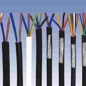 ������|����|���N��е�һ�N��ʲô�ǿ�����|��